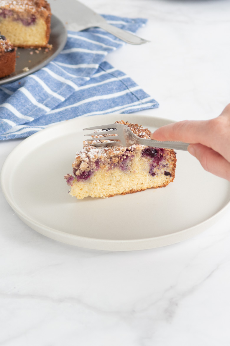 Gluten-Free Blueberry Crumble Cake 